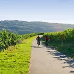 Husseren Collections - Proche Colmar - 4* Eguisheim