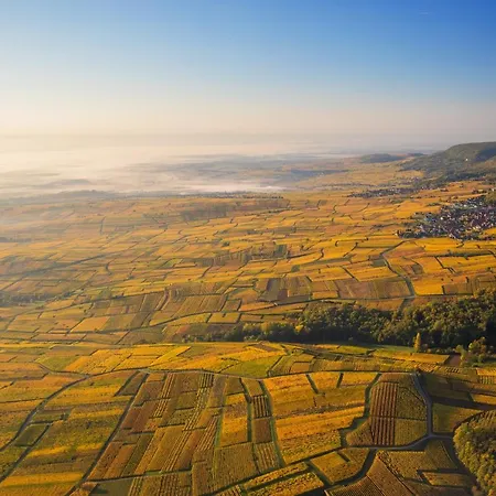 Husseren Collections - Proche Colmar -