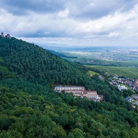 Husseren Collections - Proche Colmar - Eguisheim