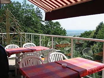 Otel Restaurant Husseren Collections - Proche Colmar - 4*