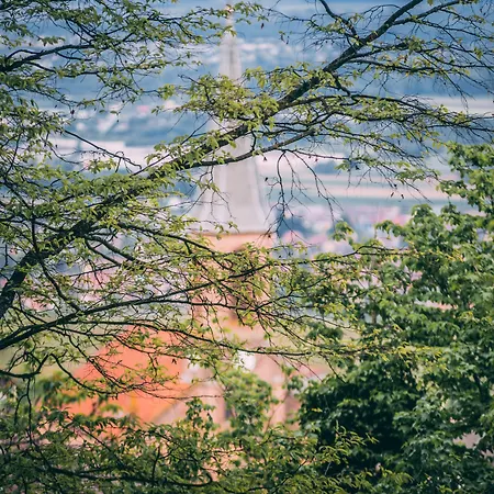 Husseren Collections - Proche Colmar - Hotell