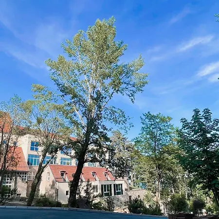 Husseren Collections - Proche Colmar - 4* Eguisheim