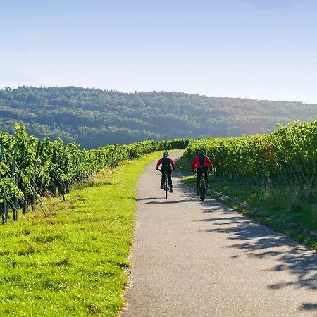 Husseren Collections - Proche Colmar - 4* Eguisheim