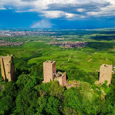 Hotel Husseren Collections - Proche Colmar - Eguisheim