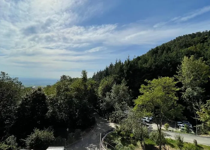 Hotel Husseren Collections - Proche Colmar -