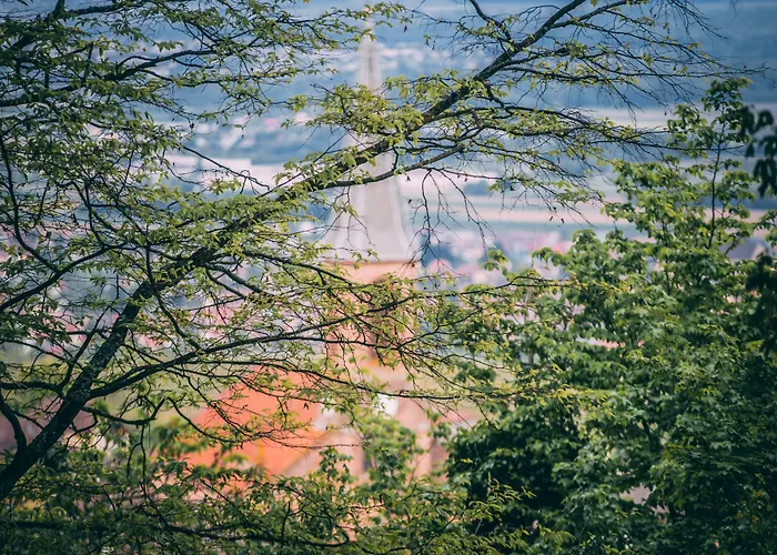 Husseren Collections - Proche Colmar - Hotel