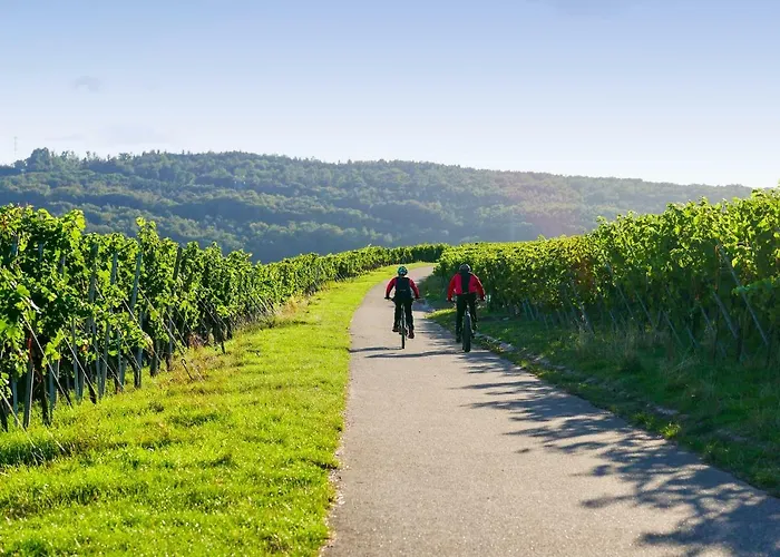 Husseren Collections - Proche Colmar - 4* Eguisheim